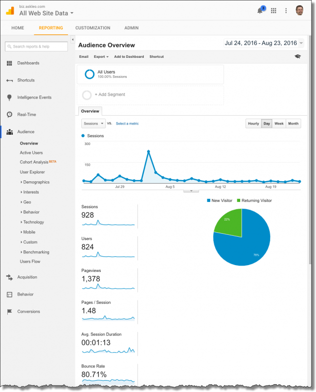 Analytics - Audience Overview